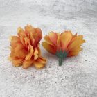 Kerti szegfű 4,5cm napsárga