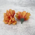 Kerti szegfű 4,5cm napsárga