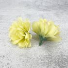 Kerti szegfű 4,5cm zöldes sárga