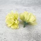 Kerti szegfű 4,5cm zöldes sárga