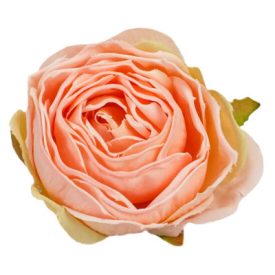 Rózsa fej 5,5cm - cirmos barack Rózsa fej 5,5cm - cirmos barack