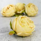 Rózsa fej 5,5cm - krém sárga