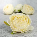 Rózsa fej 5,5cm - krém