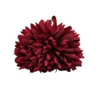 Krizantém fej 6cm x 5cm bordó