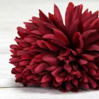 Krizantém fej 6cm x 5cm bordó