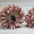 Krizantém fej 6cm x 5cm pasztellmályva