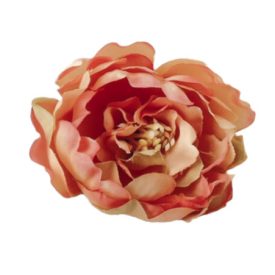 Babarózsa fej 5cm cirmos barack Babarózsa fej 5cm cirmos barack