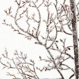 Deres ág 65cm hosszú Deres ág 65cm hosszú