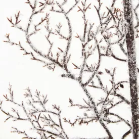 Deres ág 65cm hosszú