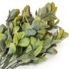 Babér csokor sárgászöld