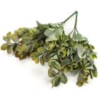 Babér csokor sárgászöld