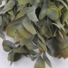 Babér csokor sárgászöld