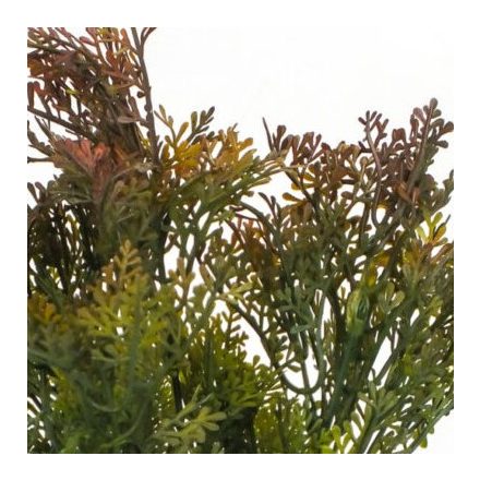 Smaragd thuja csokor barnászöld