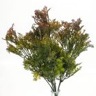 Smaragd thuja csokor barnászöld