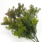 Smaragd thuja csokor barnászöld