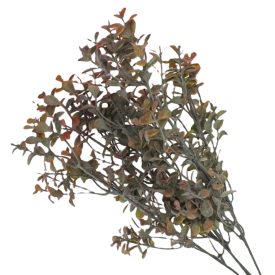 Buxus csokor barna Buxus csokor barna