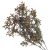 Buxus csokor barna