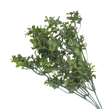 Buxus csokor hamvaszöld