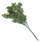 Buxus csokor hamvaszöld