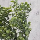 Buxus csokor hamvaszöld
