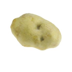 Burgonya 7cm Burgonya 7cm