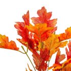 Őszi bokor 5űgú 34cm