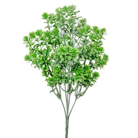 Kövirózsa bokor 5 ágú 34cm