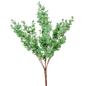 Eukaliptusz bokor 7 ágú 43cm