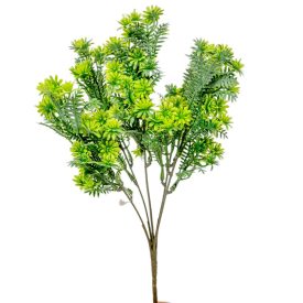 Kövirózsa bokor 5 ágú 31cm