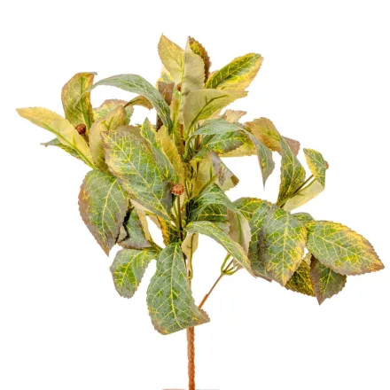 Leveles bokor 6 ágú 38cm