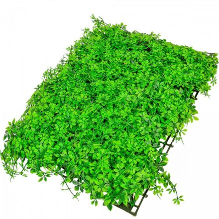 Buxus kocka 75x55cm