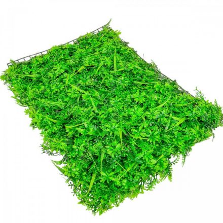 Buxus kocka 75x55cm