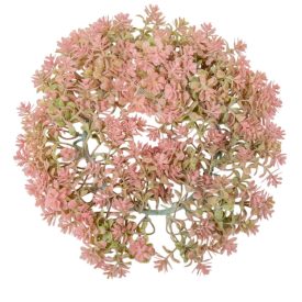 Pozsgás koszorú rózsaszín D21cm  Pozsgás koszorú rózsaszín D21cm