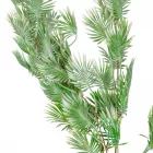 Mini pálma leveles futó zöld-fehér 110cm