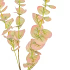 Eukaliptusz barna 82cm