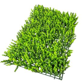 Eukaliptusz panel zöld 40x60cm