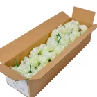 Szegfű virágfej D8cm 300 50db/#