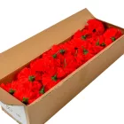 Szegfű virágfej D8cm 400 50db/#