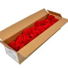 Szegfű virágfej D8cm 402 50db/#