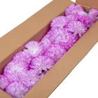 Szegfű virágfej D8cm 806 50db/#