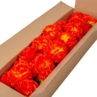 Szegfű virágfej D8cm 905B 50db/#