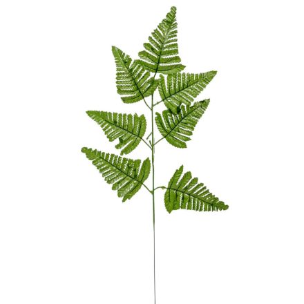 Páfrány levél 58cm