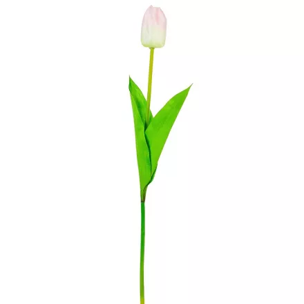 Tulipán szálas fehér halványrózsaszín 54cm