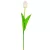 Tulipán szálas fehér halványrózsaszín 54cm
