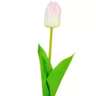 Tulipán szálas fehér halványrózsaszín 54cm