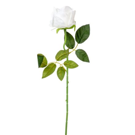 Rózsa szálas bársony krém 51cm