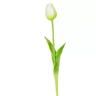 Tulipán szálas gumi krém 45cm
