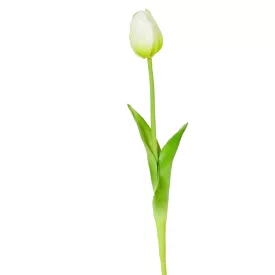 Tulipán szálas gumi krém 45cm
