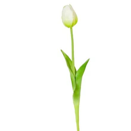 Tulipán szálas gumi krém 45cm