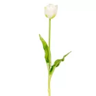 Tulipán szálas gumi krém 40cm